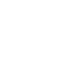 Generate Idea